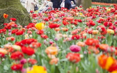 Sortie colorée à Floralia !